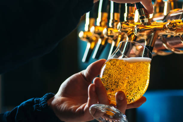 Exploring Sarasota’s Top Brew Pubs for Craft Beer Enthusiasts
